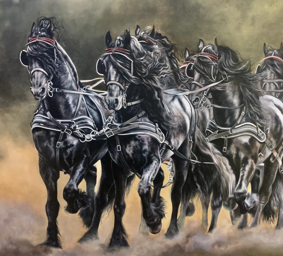 Katarzyna Stefanowicz - Specialising In Oil Paintings Of Horses